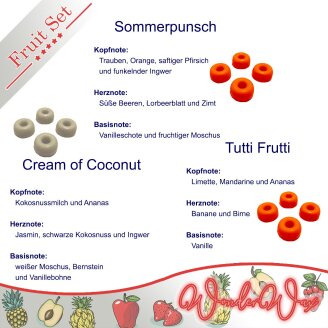 Duftprobenset Früchte Duftwachs
