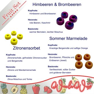 Duftprobenset Früchte Duftwachs