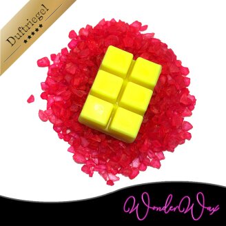 Neon Duftriegel 6 x Duftwachs Würfel Weiß