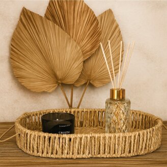 Stäbchen Reed Diffuser Kristall Set 100 ml