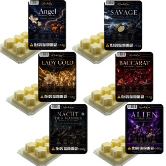 Parfume Duftriegel 6 x Duftwachs Sterne Weiß