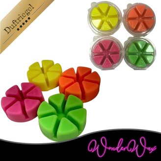 Neon Duftkreis 6 x Duftwachs Ecken