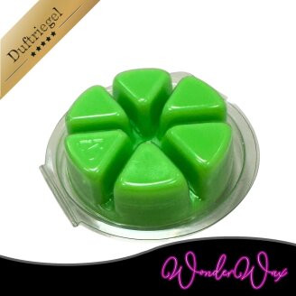 Neon Duftkreis 6 x Duftwachs Ecken